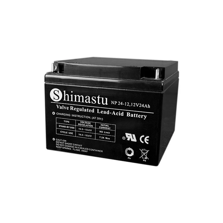 Elektrisk skoter Blybatteri