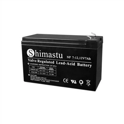 12V7Ah batteri för larmsystem