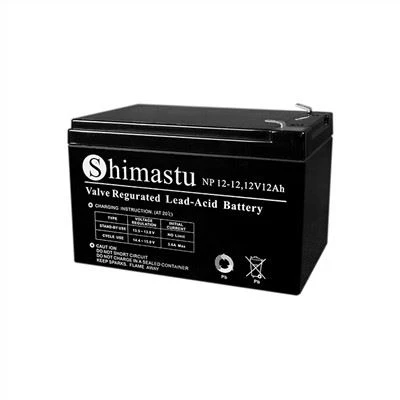 12 volt nödsituation batteri