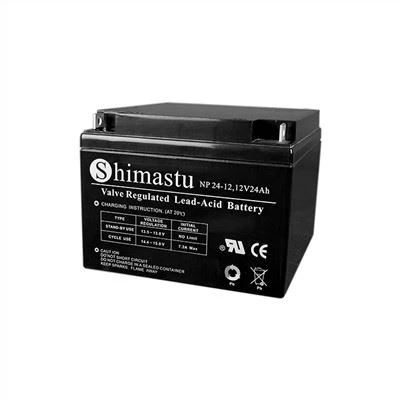 Elektrisk skoter Blybatteri